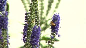 Wednesday, July 30, 2014 image
