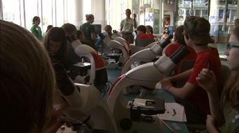 NC Now Special: Science Education