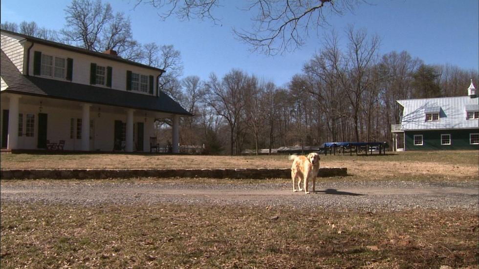 Red Dog Farm image