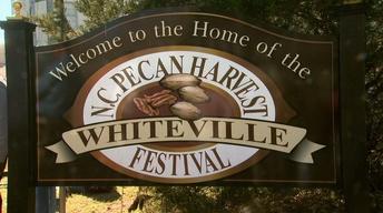 NC Pecan Harvest Festival image
