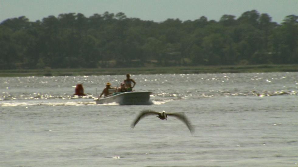 Carolina Beach State Park image