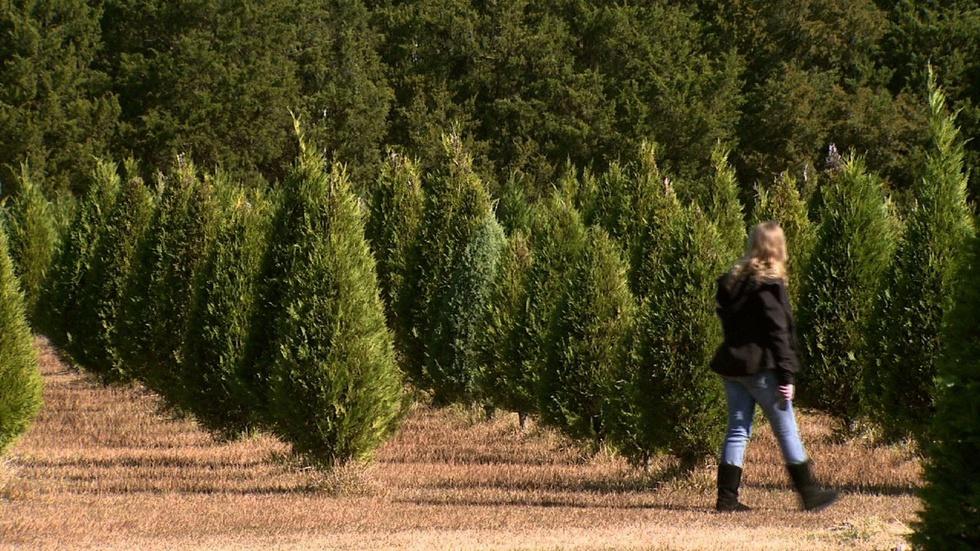 Mike's Farm at Christmas image