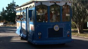 New Bern Trolley Tours image