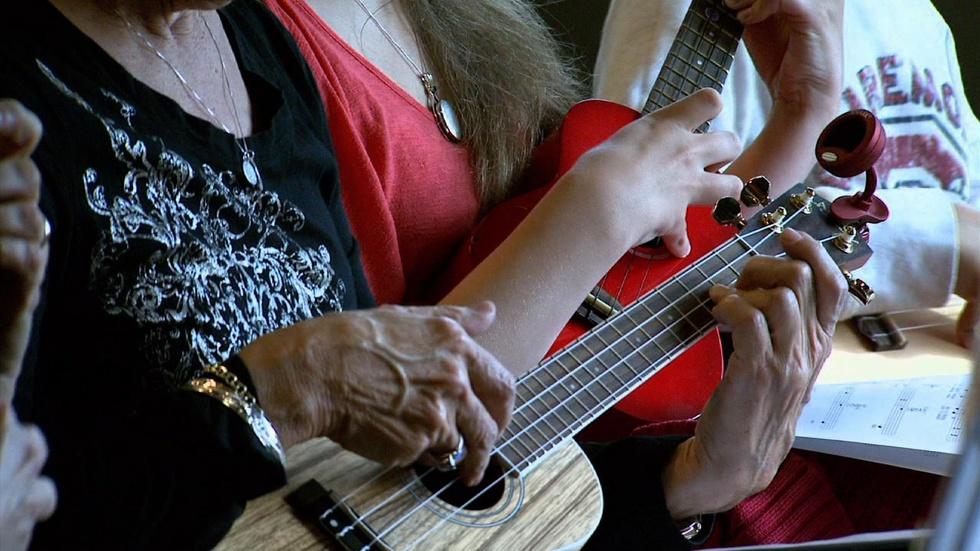 North Carolina Ukulele Academy image