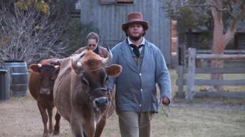 The Island Farm image