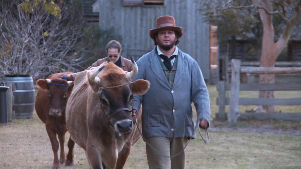 The Island Farm image
