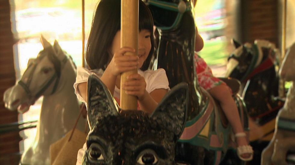 Carousel at Burlington City Park image