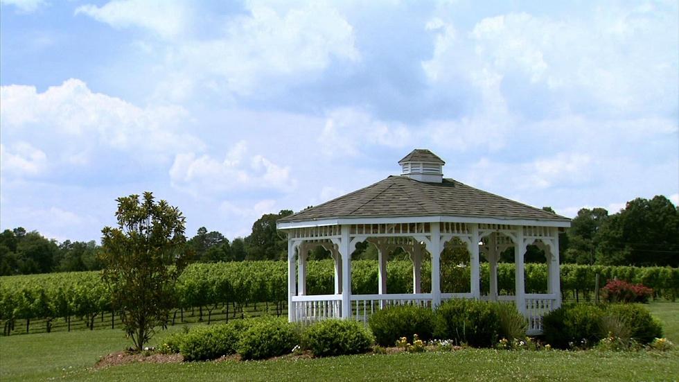 Shadow Springs Vineyard image