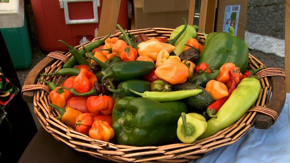 NC Hot Sauce Contest image