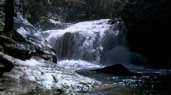 01/13/11 image