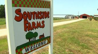 Southside Farms image