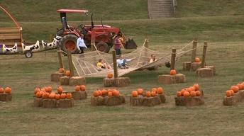 Eliada Corn Maze image