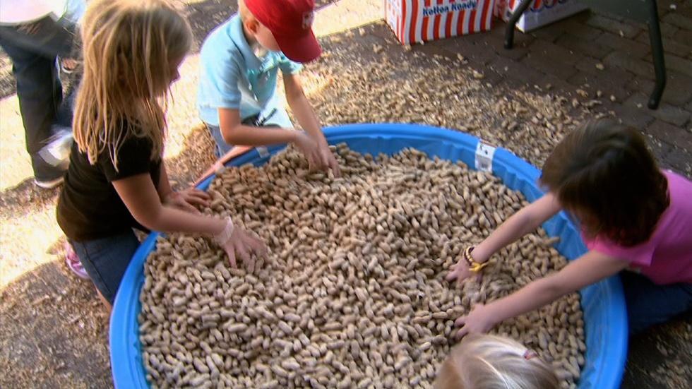 Edenton Peanut Festival image