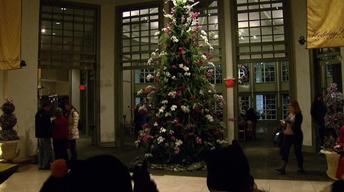 Daniel Stowe Botanical Garden Holiday Light Show image