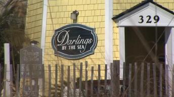 Darlings By The Sea image