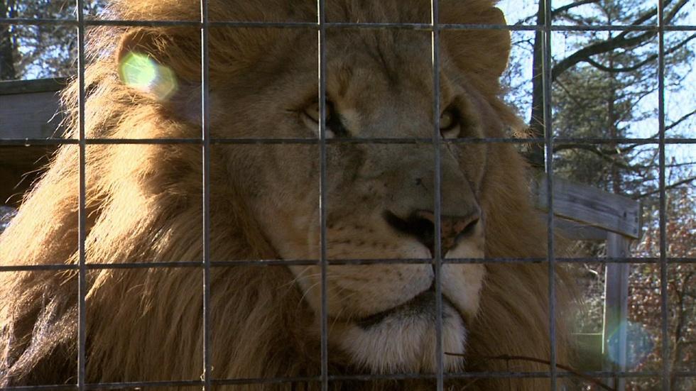 Conservators Center image