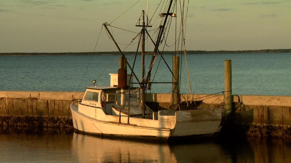 Taste of Core Sound; Harkers Island image