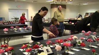 Camellia Festivals image