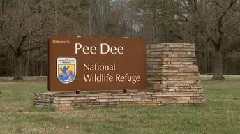 pee dee wildlife refuge cum queen kari torrent