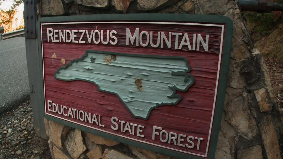 Rendezvous Mountain Educational Forest image