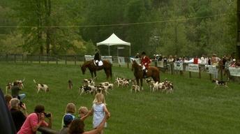 Block House Steeplechase image