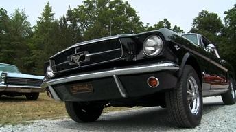 Timeless Cruizers Car Show image