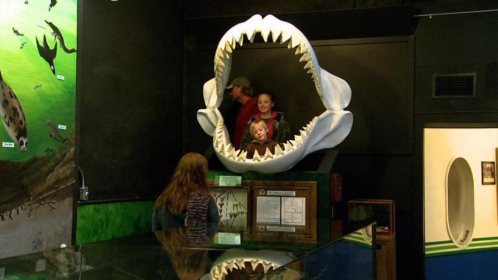 Aurora Fossil Museum image