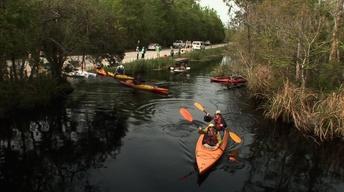Alligator River Kayaking image
