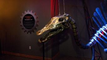 Dinosaurs in Motion image