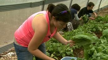 CCCC Sustainable Agriculture | NC Now | UNC-TV