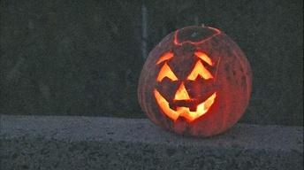 Pumpkin Delights