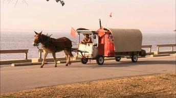 Mule Rider/To the Lighthouse