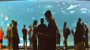 NC Science Now Special: Up Close & Coastal