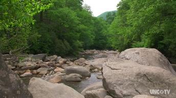 NC Science Now: Great Smoky Mtn Air