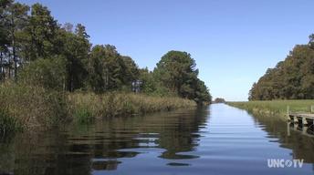 NC Science Now: Saving Lake Mattamuskeet