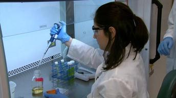 Kenan Fellows Program Update