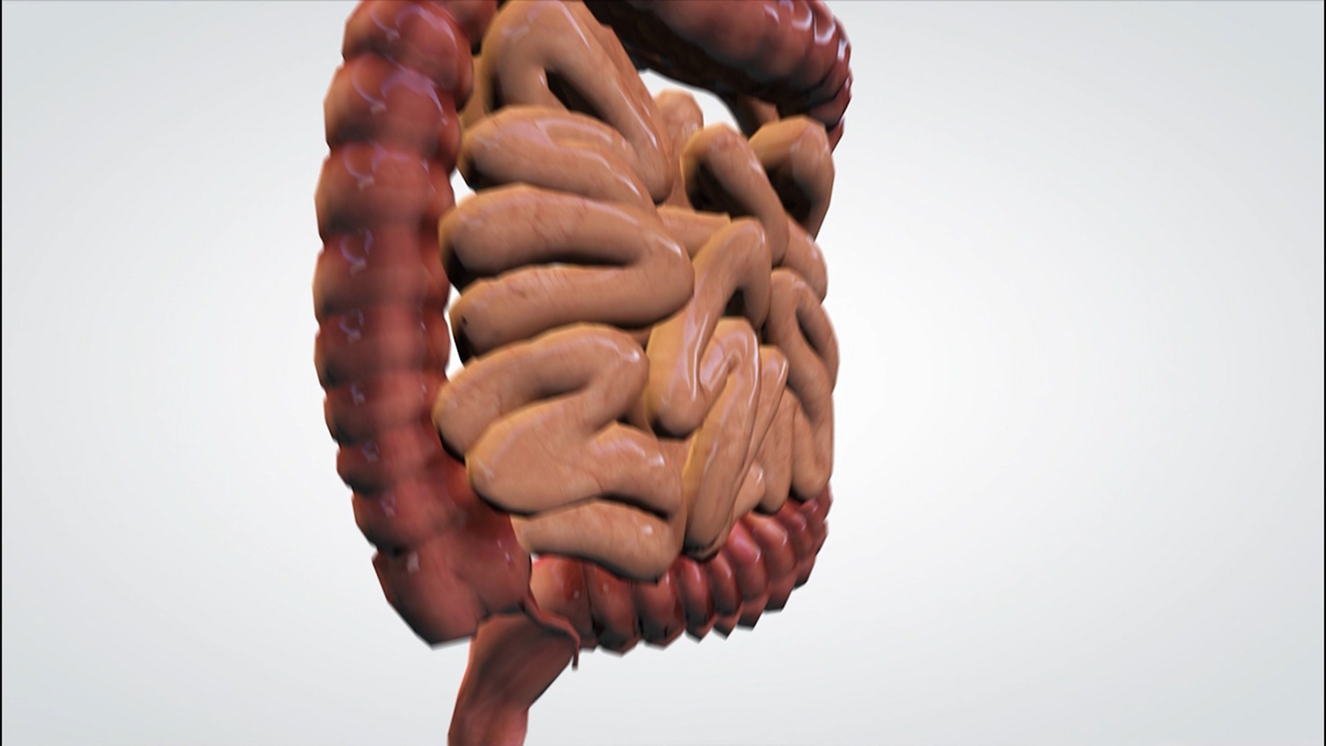 Colon Cancer Specialist Austin Tx