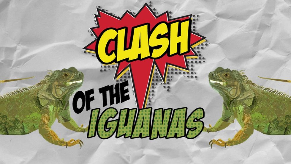 Clash of the Iguanas image