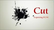 Video thumbnail: To The Contrary Cut:Exposing FGM, Film Festival
