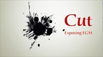 Cut:Exposing FGM, Film Festival