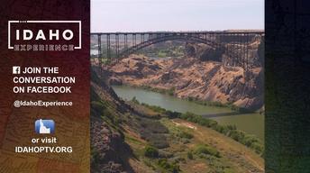 Perrine Bridge
