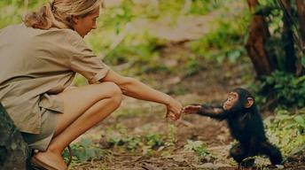Documentary gives new look at Jane Goodall’s early research