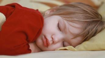 The Web Show: Sleep