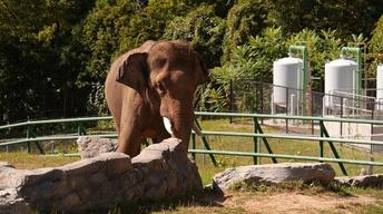 501: Zoo Technology