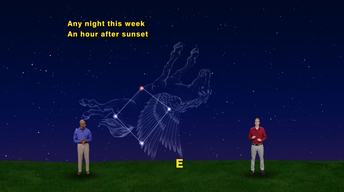 “The Stars of Pegasus” Aug 28th-Sept 3rd 1 Min