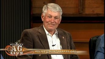 How Does Public Debt Affect Agriculture? (No. 4708)