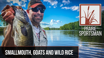 S9 Ep3: Smallmouth, Goats and Wild Rice
