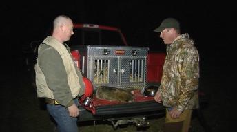 Raccoons, Deer Hunting, and More!