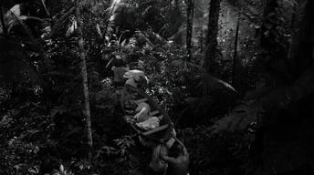 S30: Into the Amazon: Chapter 1
