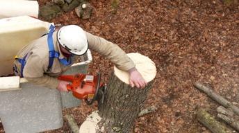 S16 Ep6: Ask TOH | Tree Removal, Garage Door Opener